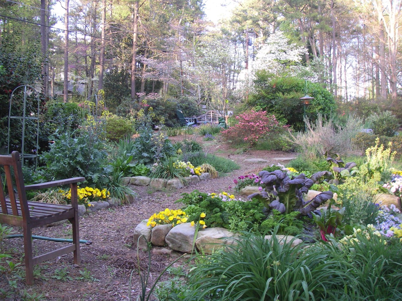 Vegetable garden in the front yard Atlanta